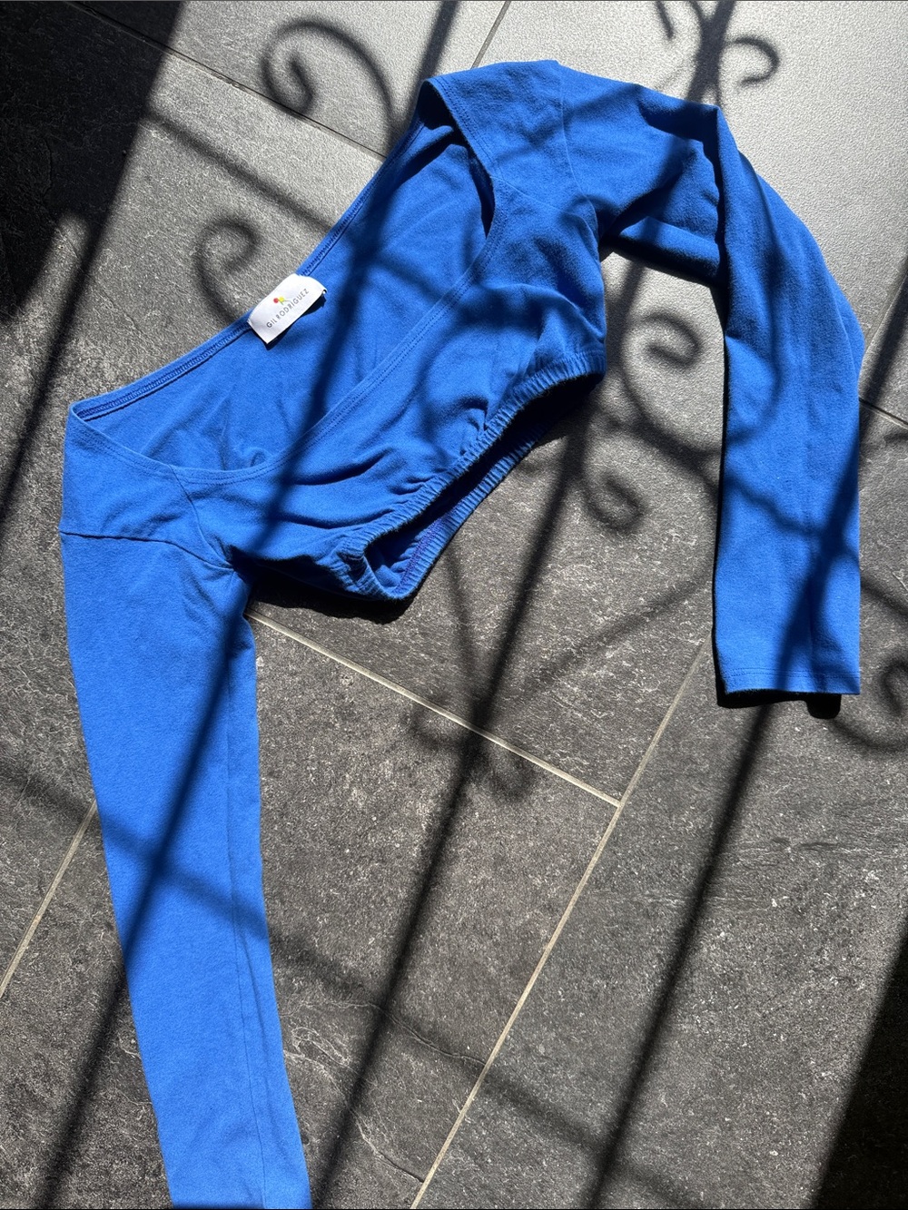 Blue Long-Sleeve Crop Top - Classic Scoop Neck